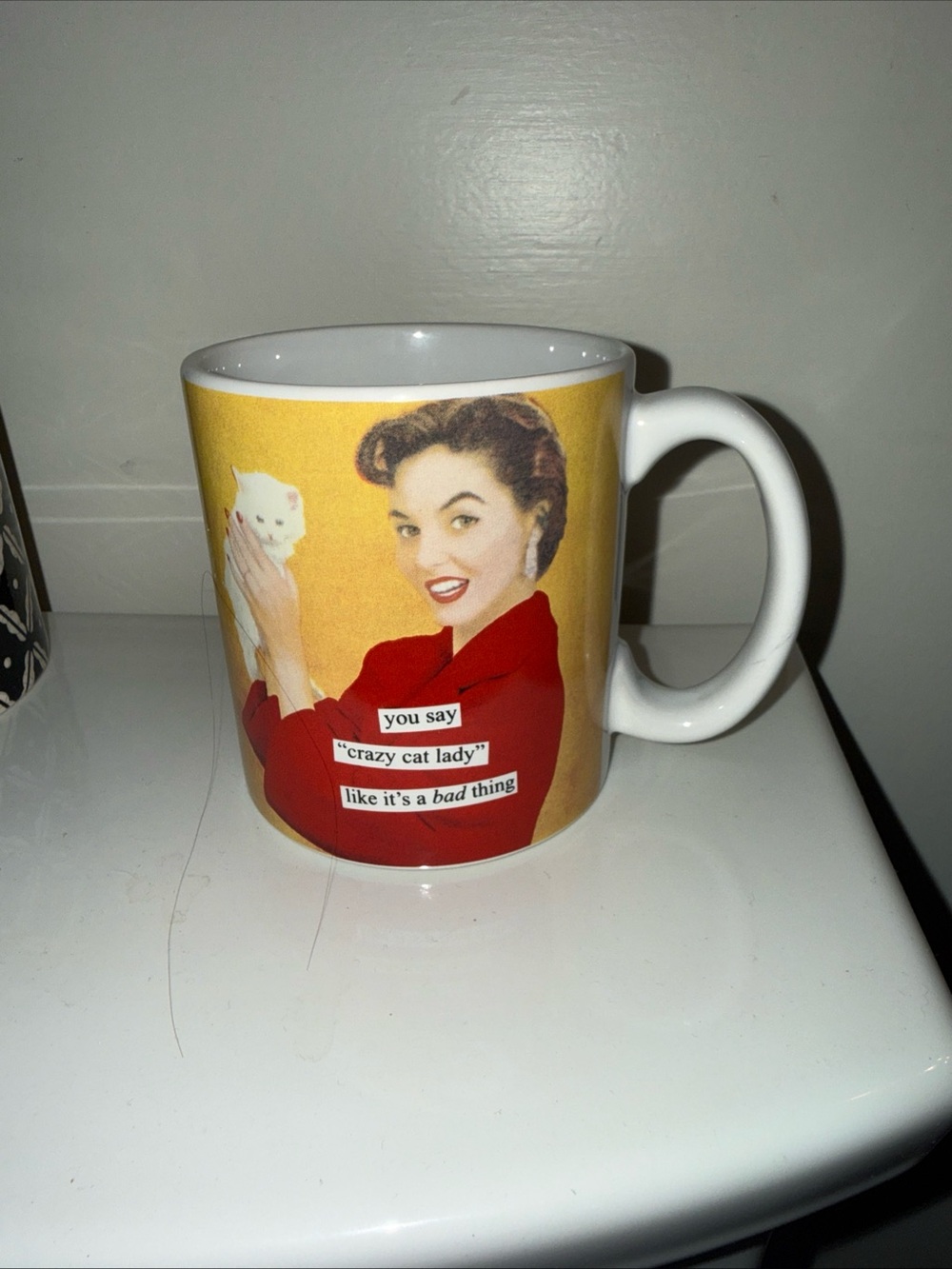 Retro  Anne Taintor " You Say Crazy Cat Lady Like It's A Bad Thing" Ceramic Mug